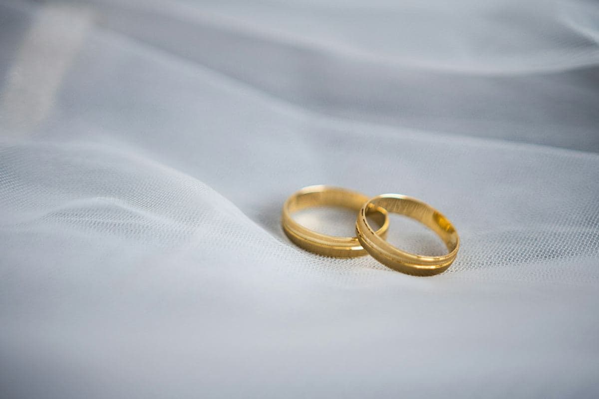 Two satin-finish yellow gold bands with polished grooved edges lying on tulle
